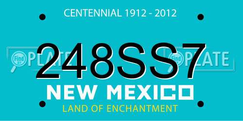 248SS7 New Mexico License Plate