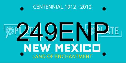249ENP New Mexico License Plate