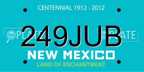 249JUB New Mexico License Plate
