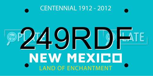 249RDF New Mexico License Plate