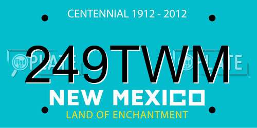 249TWM New Mexico License Plate