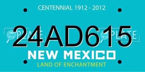 24AD615 New Mexico License Plate