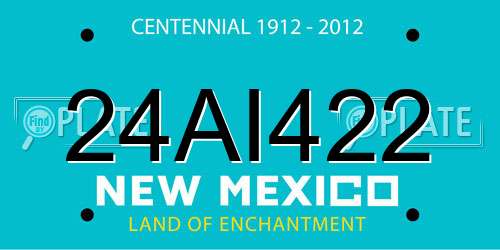 24AI422 New Mexico License Plate