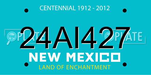 24AI427 New Mexico License Plate