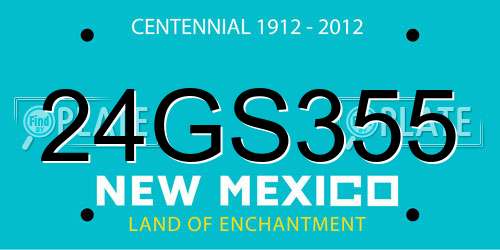 24GS355 New Mexico License Plate