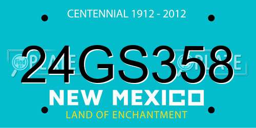 24GS358 New Mexico License Plate