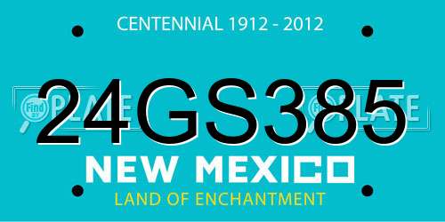 24GS385 New Mexico License Plate