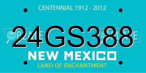 24GS388 New Mexico License Plate