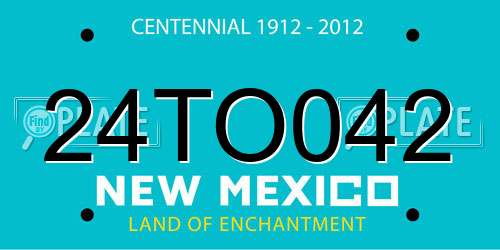 24TO042 New Mexico License Plate