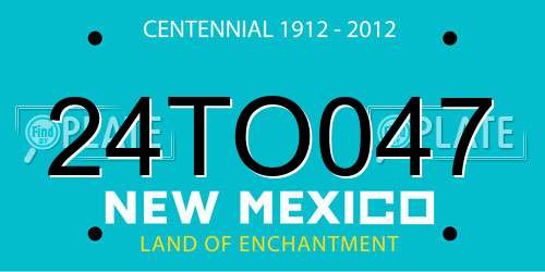 24TO047 New Mexico License Plate