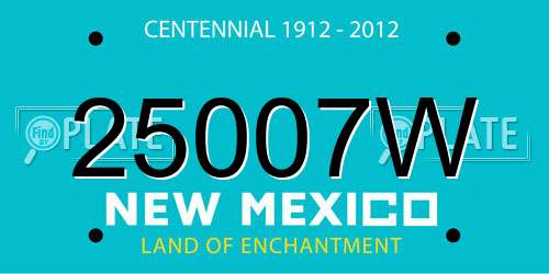25007W New Mexico License Plate