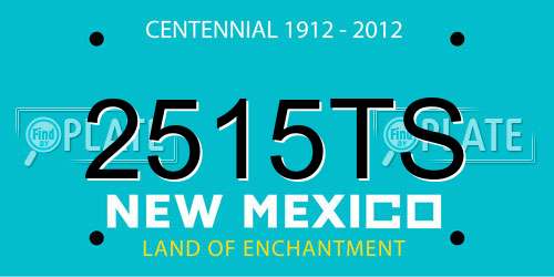 2515TS New Mexico License Plate