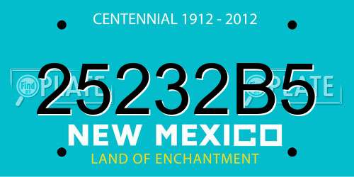 25232B5 New Mexico License Plate