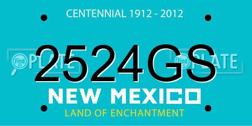 2524GS New Mexico License Plate