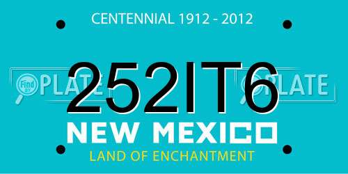 252IT6 New Mexico License Plate