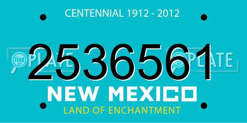 2536561 New Mexico License Plate