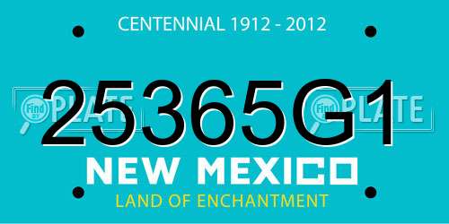 25365G1 New Mexico License Plate