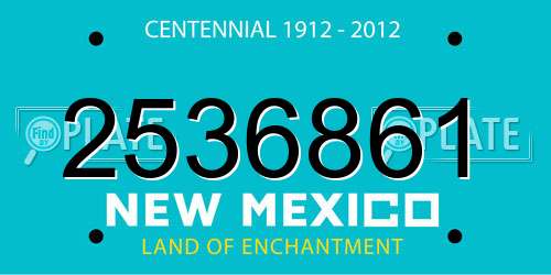 2536861 New Mexico License Plate