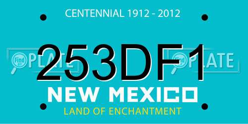 253DF1 New Mexico License Plate