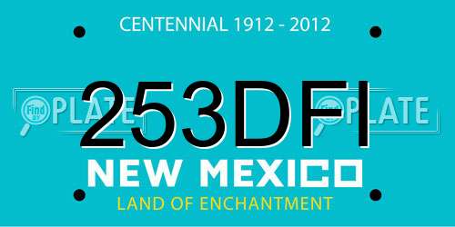 253DFI New Mexico License Plate
