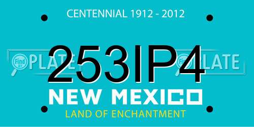 253IP4 New Mexico License Plate
