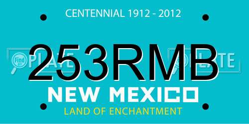 253RMB New Mexico License Plate