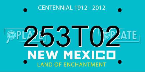 253T02 New Mexico License Plate