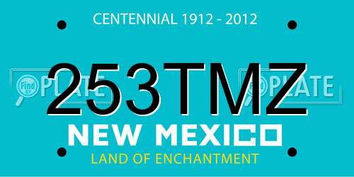 253TMZ New Mexico License Plate