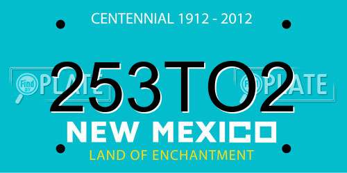 253TO2 New Mexico License Plate