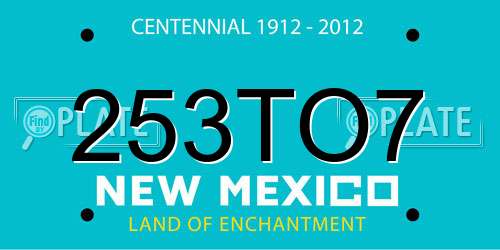 253TO7 New Mexico License Plate