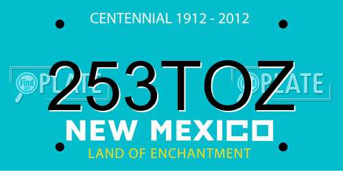 253TOZ New Mexico License Plate