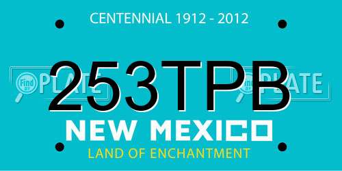 253TPB New Mexico License Plate