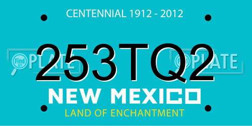 253TQ2 New Mexico License Plate