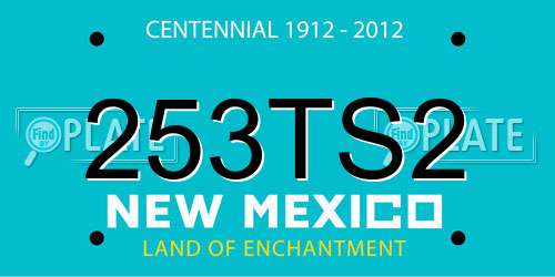 253TS2 New Mexico License Plate