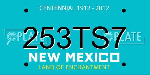 253TS7 New Mexico License Plate