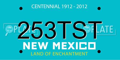 253TST New Mexico License Plate