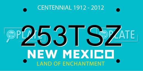 253TSZ New Mexico License Plate