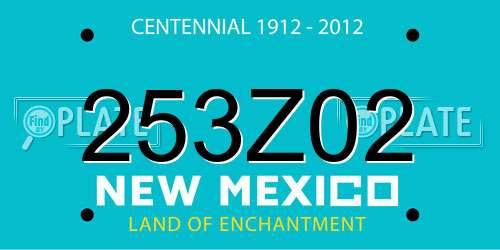 253Z02 New Mexico License Plate