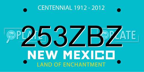 253ZBZ New Mexico License Plate