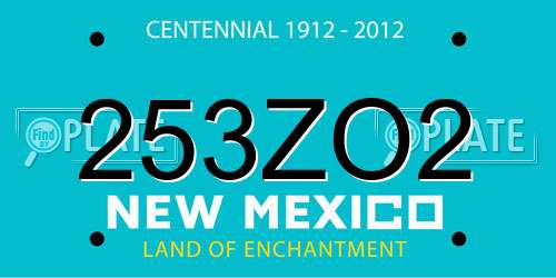 253ZO2 New Mexico License Plate