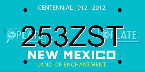 253ZST New Mexico License Plate