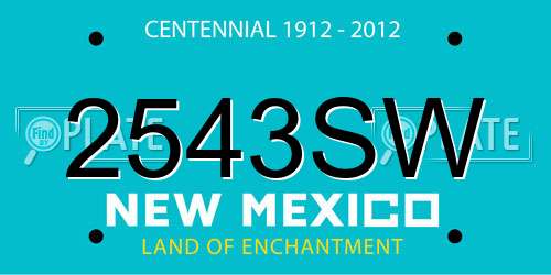 2543SW New Mexico License Plate