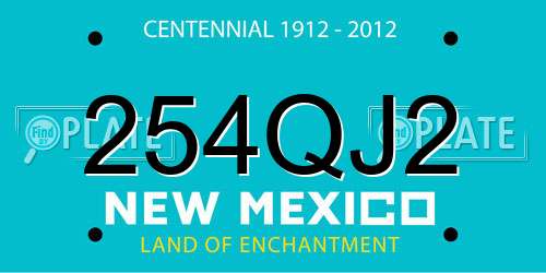 254QJ2 New Mexico License Plate
