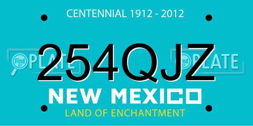 254QJZ New Mexico License Plate