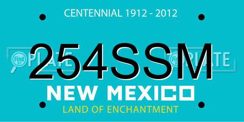 254SSM New Mexico License Plate