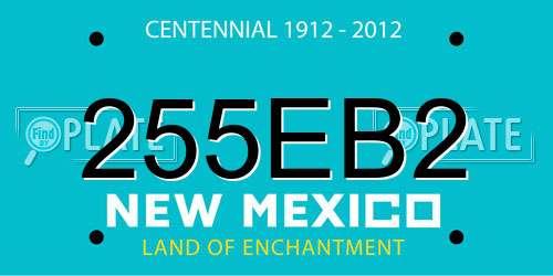 255EB2 New Mexico License Plate