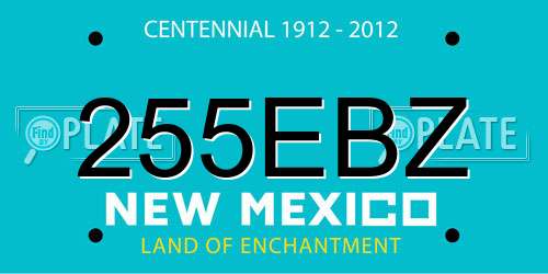 255EBZ New Mexico License Plate