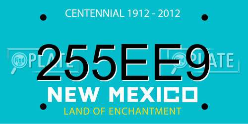 255EE9 New Mexico License Plate