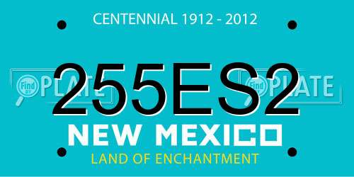255ES2 New Mexico License Plate
