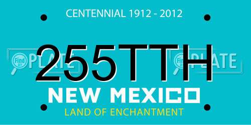 255TTH New Mexico License Plate
